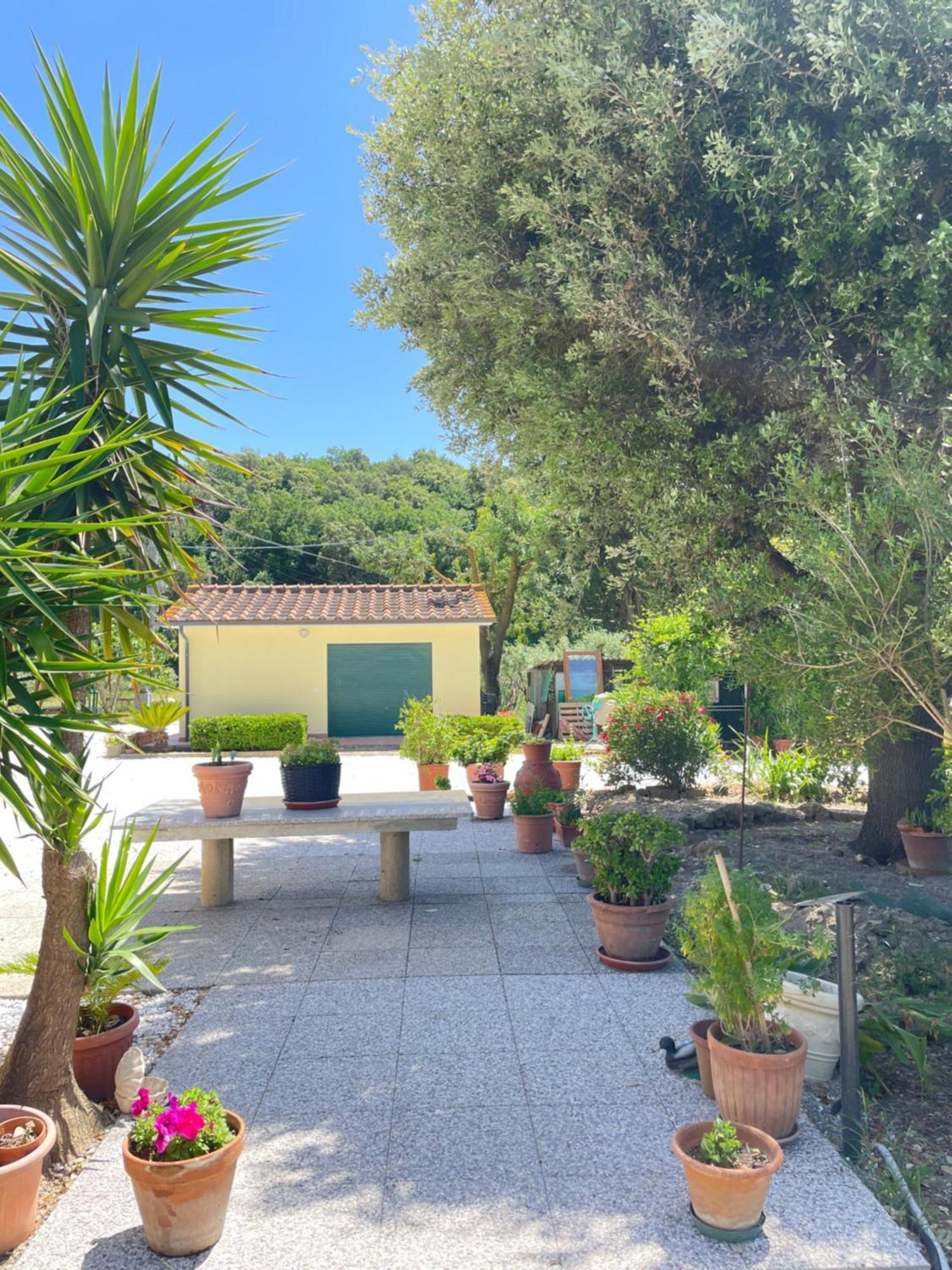 Il Leccio Agriturismo Fiorino Kültér fotó