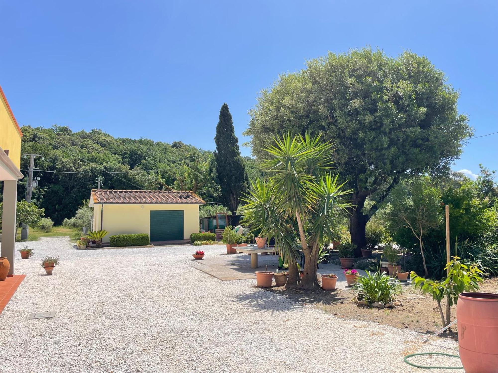 Il Leccio Agriturismo Fiorino Kültér fotó