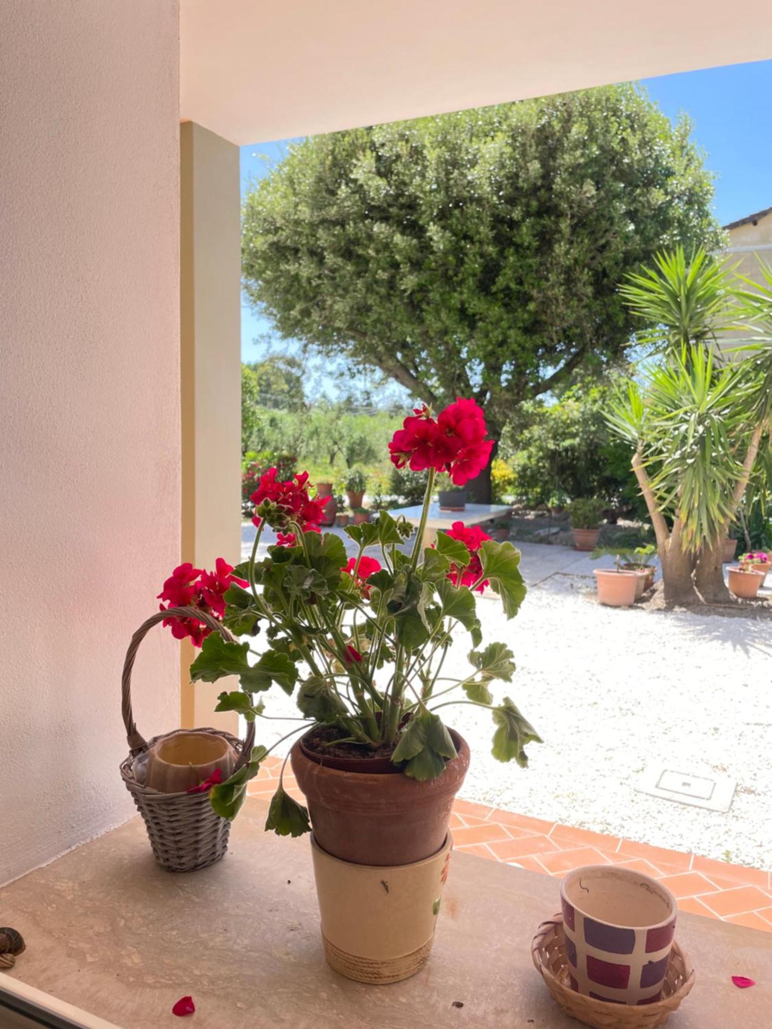 Il Leccio Agriturismo Fiorino Kültér fotó