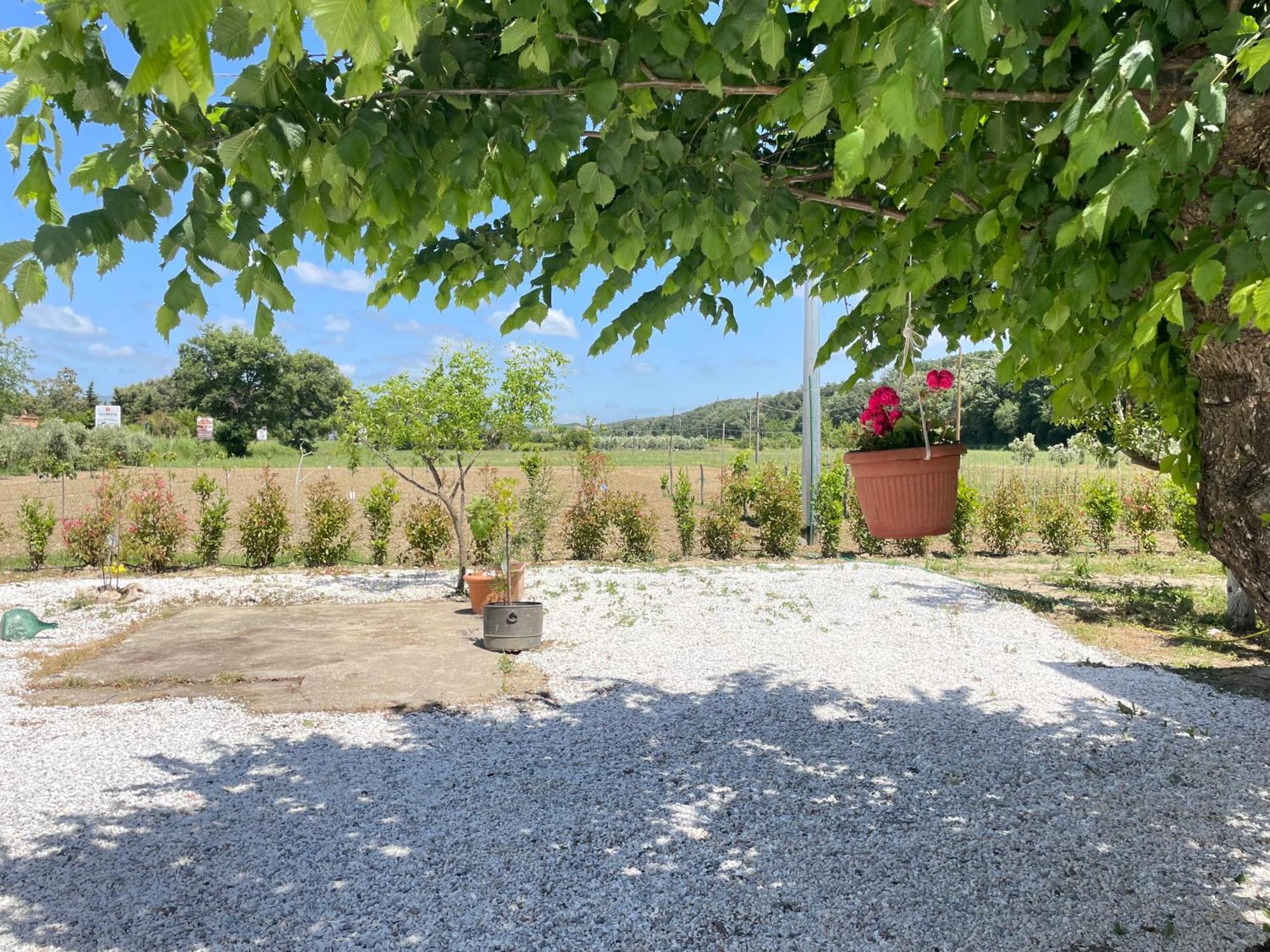 Il Leccio Agriturismo Fiorino Kültér fotó