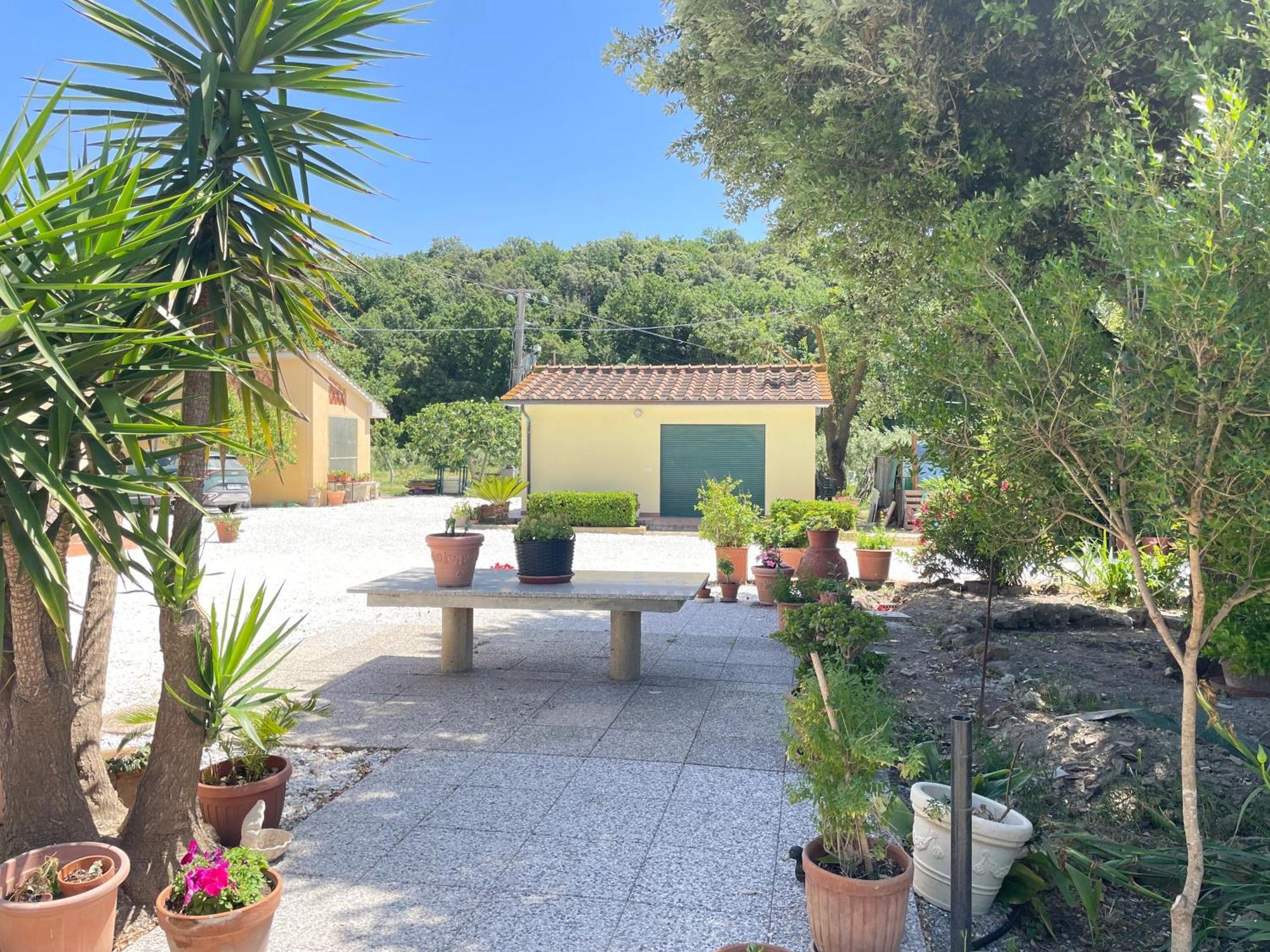 Il Leccio Agriturismo Fiorino Kültér fotó