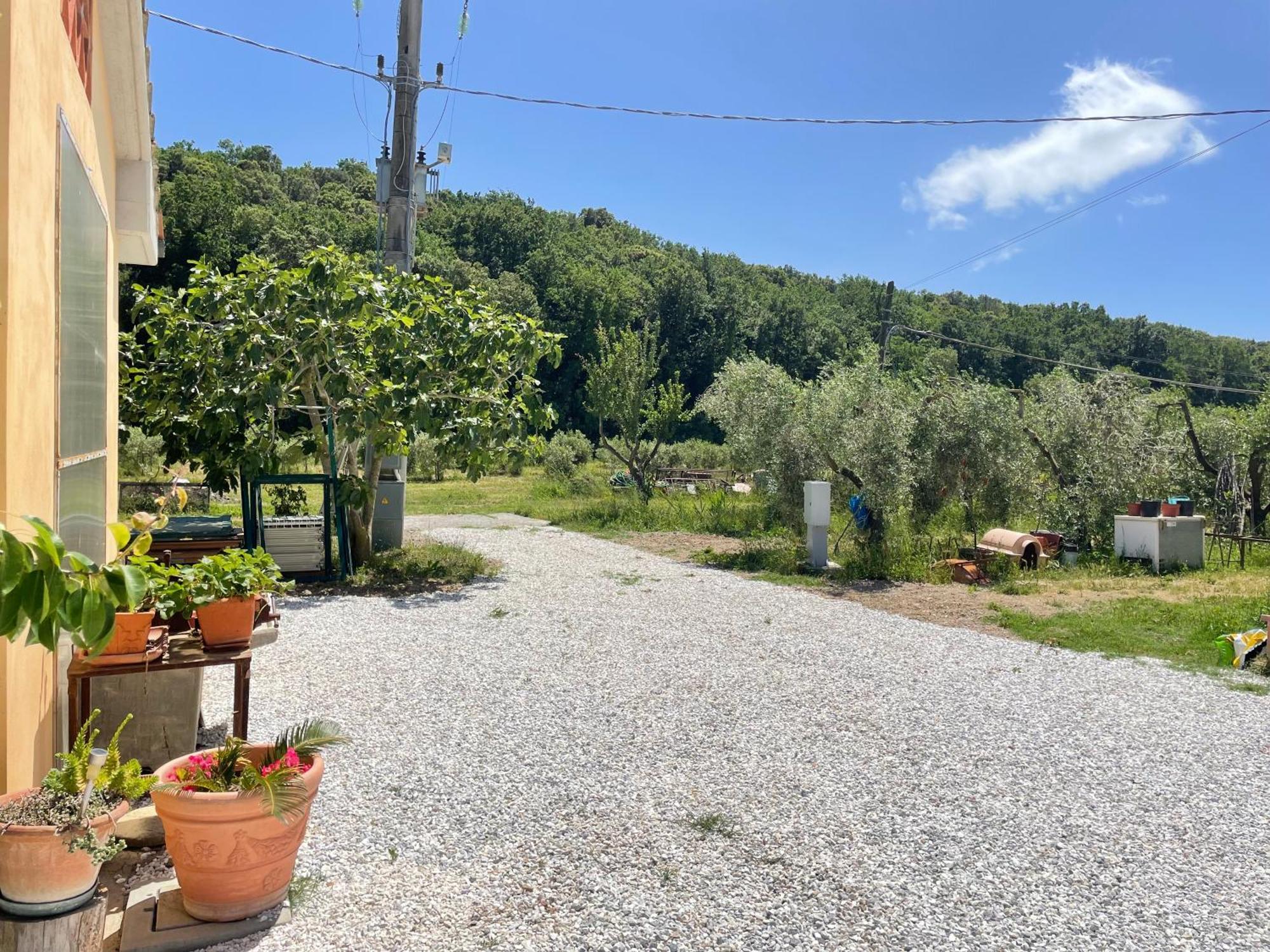 Il Leccio Agriturismo Fiorino Kültér fotó