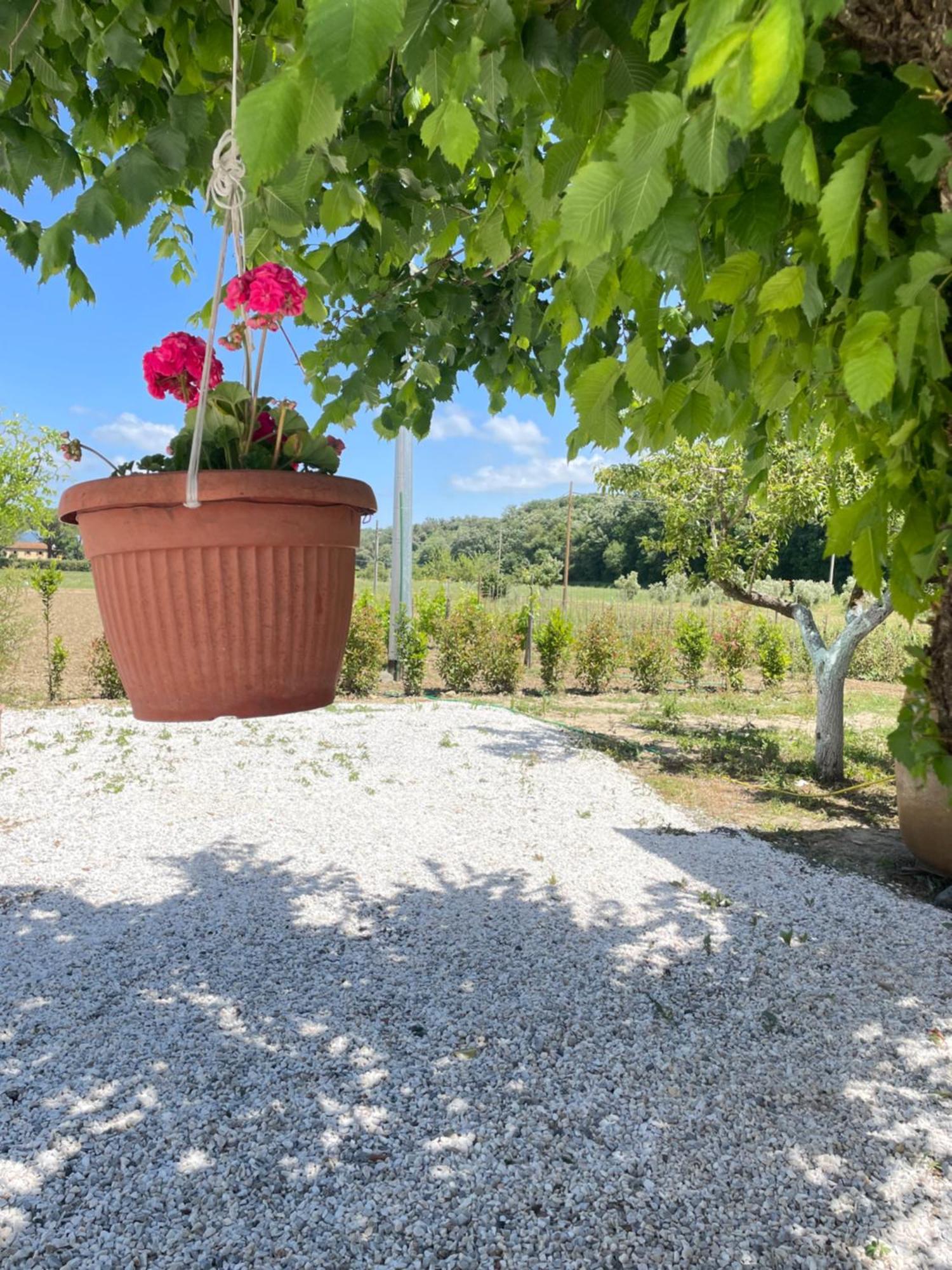 Il Leccio Agriturismo Fiorino Kültér fotó