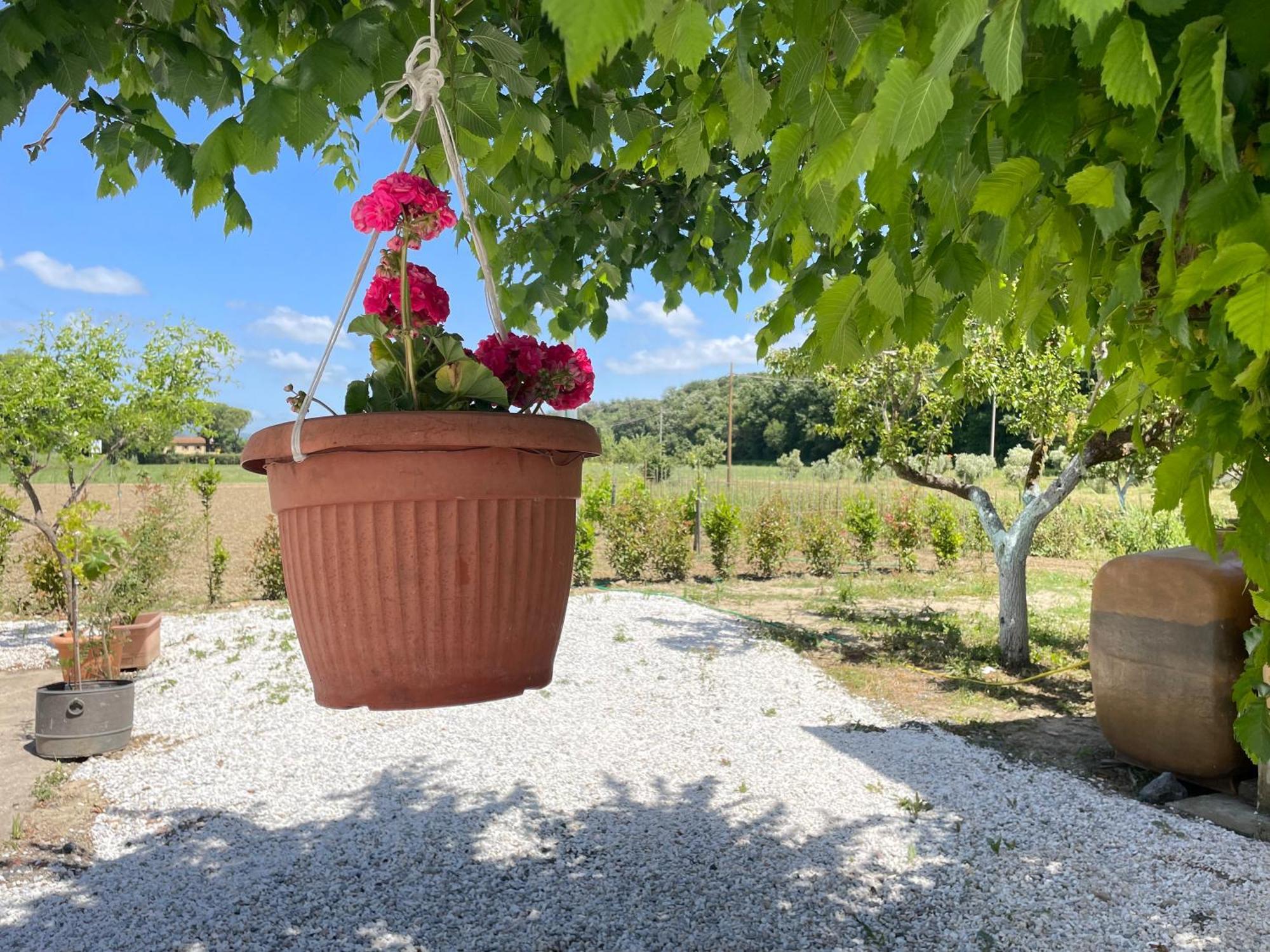 Il Leccio Agriturismo Fiorino Kültér fotó
