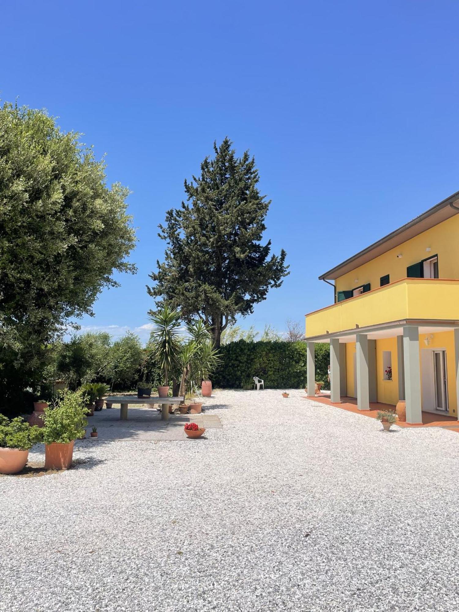 Il Leccio Agriturismo Fiorino Kültér fotó