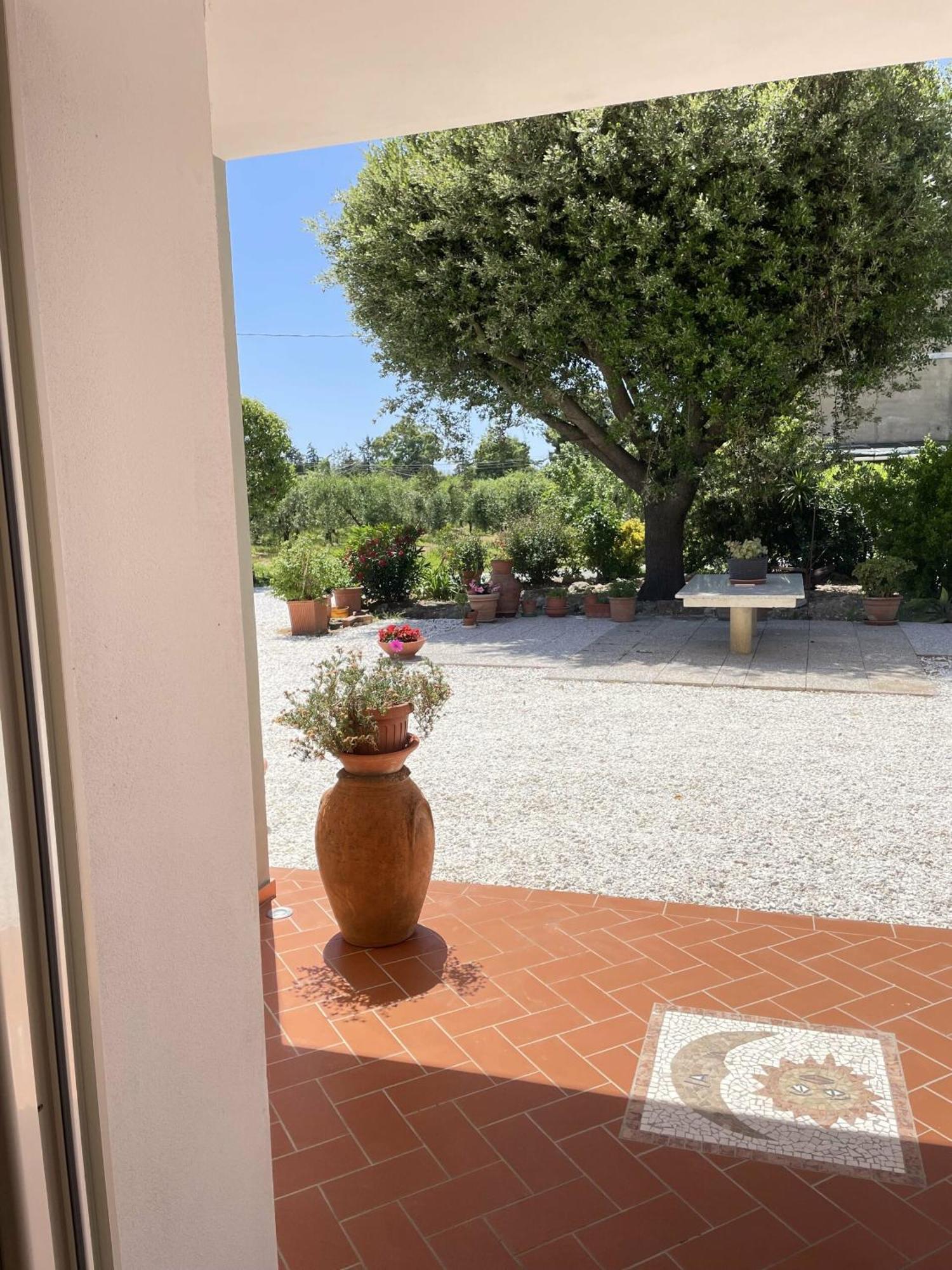 Il Leccio Agriturismo Fiorino Kültér fotó